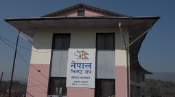 cricket association of nepal