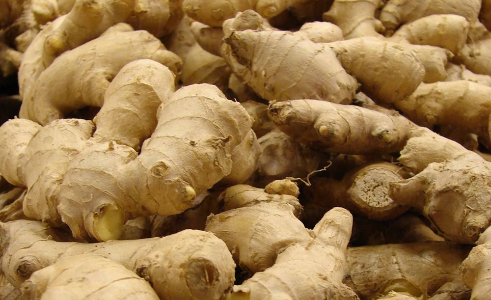 कर्णालीको अदुवा र बेसार युरोप निर्यात