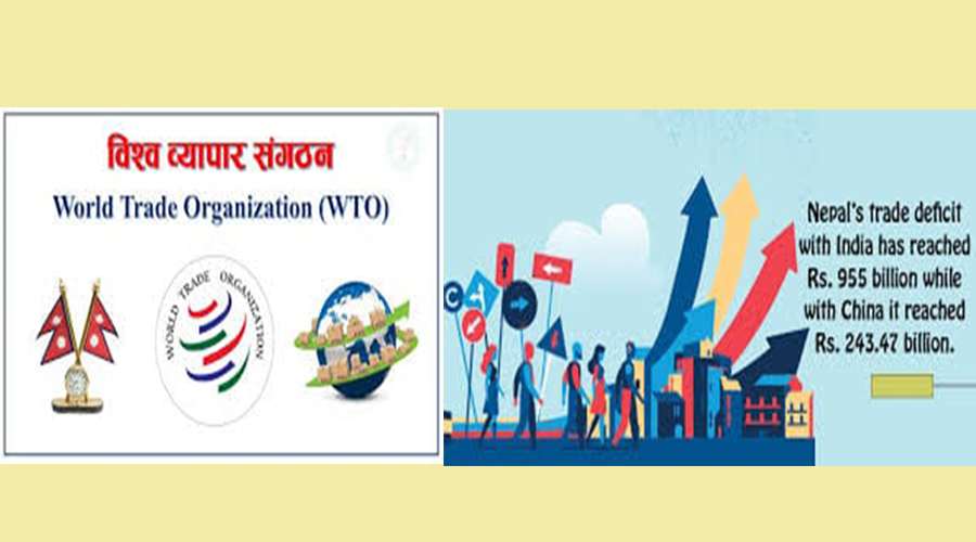 WTO मा नेपालको दुईदशक ः हात लाग्यो माइनस