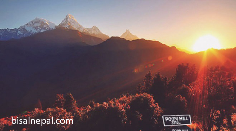 सौन्दर्य ‘पुनहिल’ को