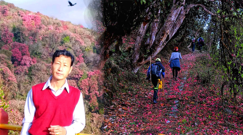 पदयात्राका रंगीबिरंगी गुराँसको संगतबाट रमाइलै रमाइलो
