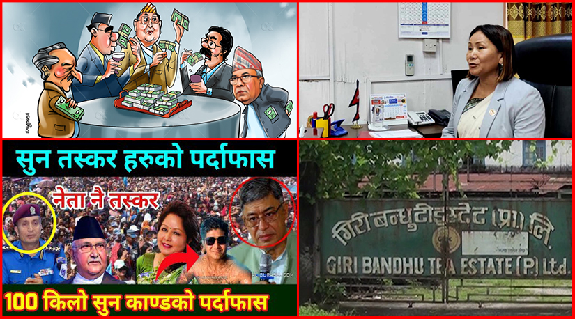 सबै छोडि पुच्छरमा हातः सन्दर्भ उपसभामुख काण्ड