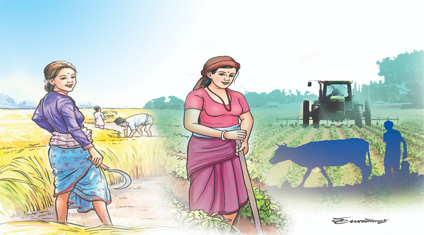 नेपाली कृषिकर्ममा महिलाकरण र वर्तामान अवस्था