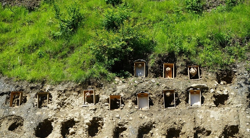 म्याग्दीमा व्यावसायिक अरिङ्गाल पालन