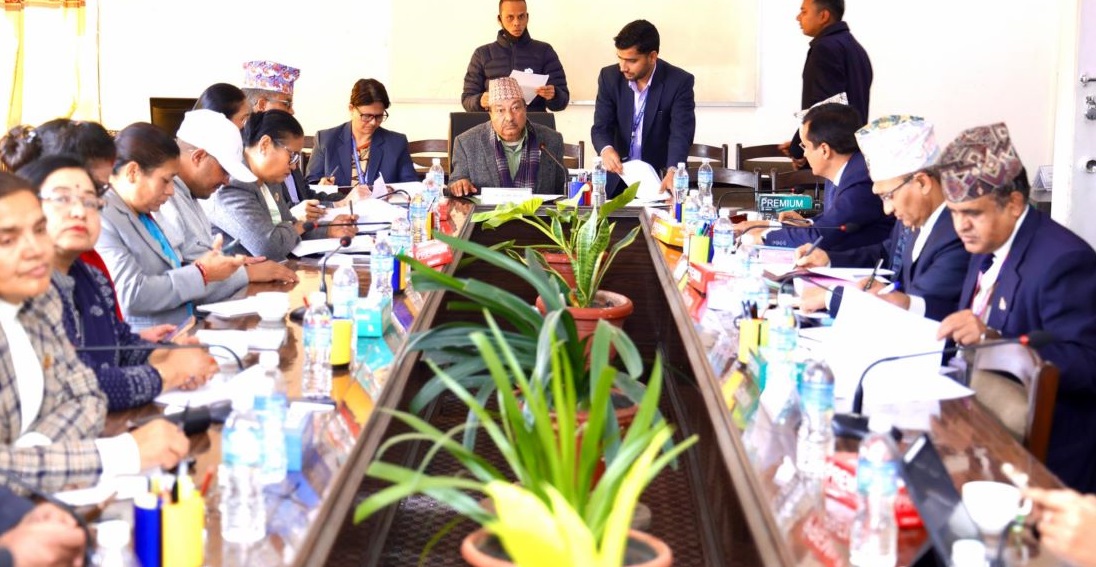 भन्सार एजेण्ट नियुक्तिको प्रावधानलाई थप प्रभावकारी बनाउनुपर्नेमा सांसदहरुको जोड