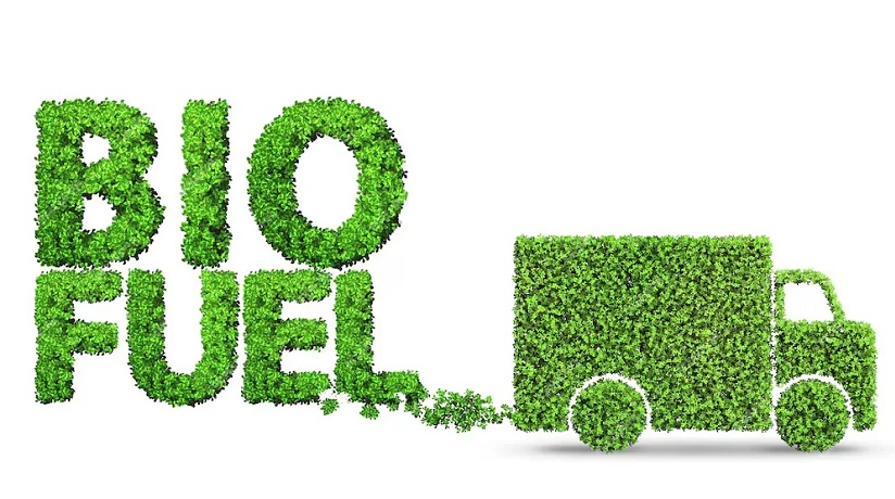 २०३० सम्ममा जापानले जैविक इन्धनयुक्त कार बनाउने