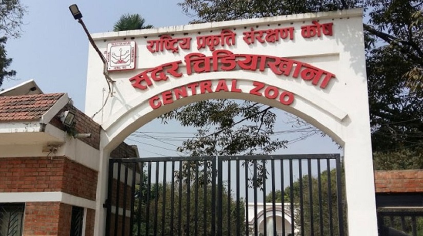 बर्ड फ्लु संक्रमण देखिएपछी सदर चिडियाखाना अनिश्चितकालका लागि बन्द