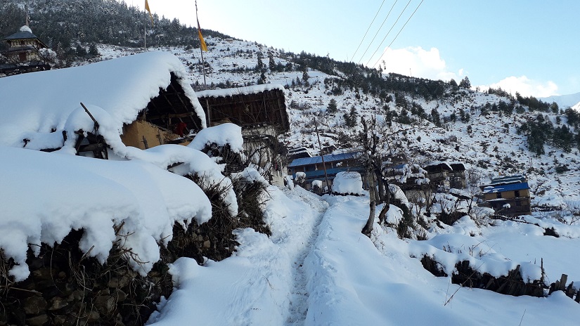 कर्णालीका हिमाली जिल्लामा हिमपातले जनजीवन प्रभावित