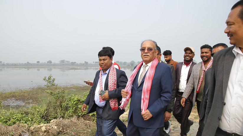 पार्टी अभियानले दक्षिण नेपालका समस्यालाई राष्ट्रिय मुद्दाका रुपमा स्थापित गर्नेछ : प्रचण्ड