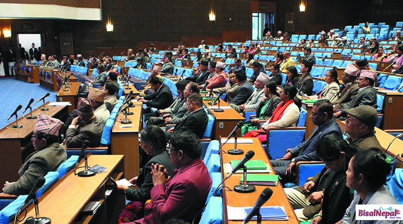 प्रतिनिधिसभाबाट बैङ्किङ कसुर र  विधायन संशोधन विधेयक पारित
