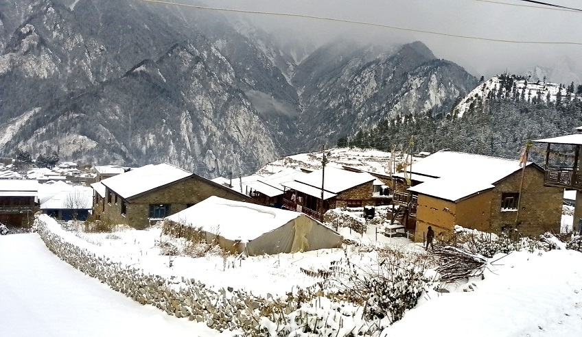 humla-himpat
