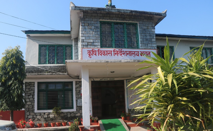 आलुको व्यावसायिक खेतीका लागि एक करोड ५० लाख विनियोजन