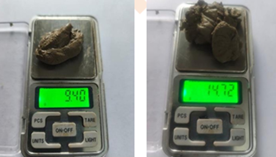 उर्लाबारीबाट ब्राउन सुगरसहित दुई पक्राउ