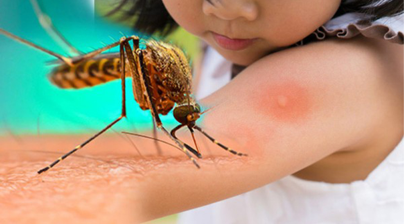 लामखुट्टेले  टोक्दा टोकेको ठाउँमा किन फोका निस्कन्छ ?