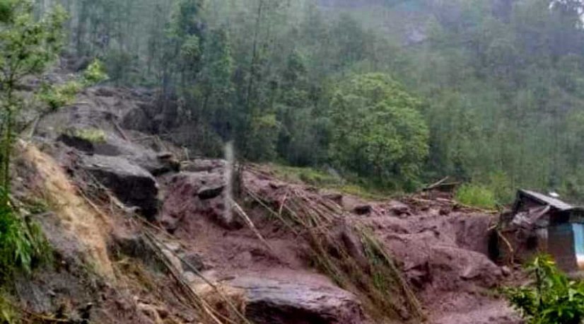 बाजुरामा पहिरो र चट्याङमा परी १६ पशुचौपाया मरे
