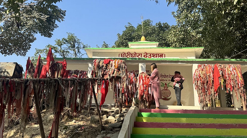 कैलालीका थारू समुदायले लवाङ्गी पूजा गर्दै