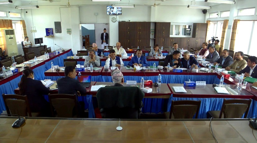 सिमेन्टको मूल्य घटाउन लेखा समितिको निर्देशन