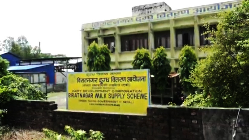 पूर्वका दुग्ध किसानलाई करिब ११ करोड भुक्तानी गर्न बाँकी