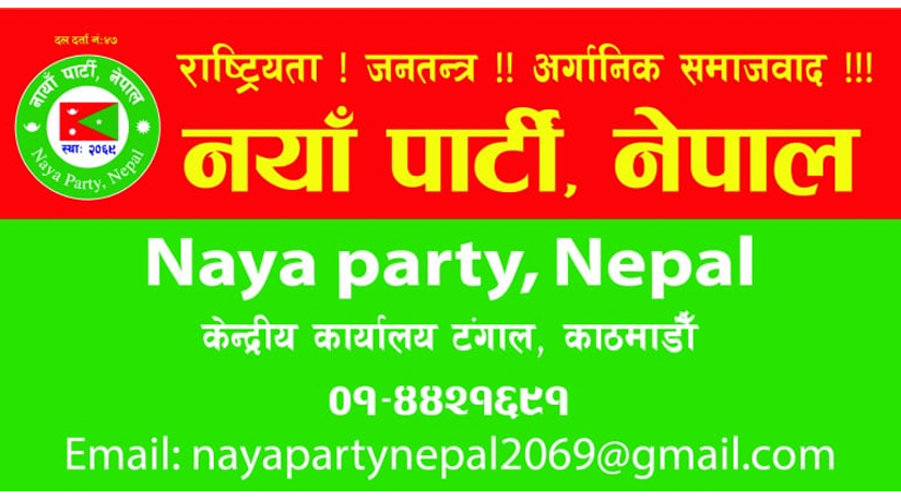 नयाँ पार्टी नेपालको लेखा परिक्षण प्रतिवेदन सार्वजनिक