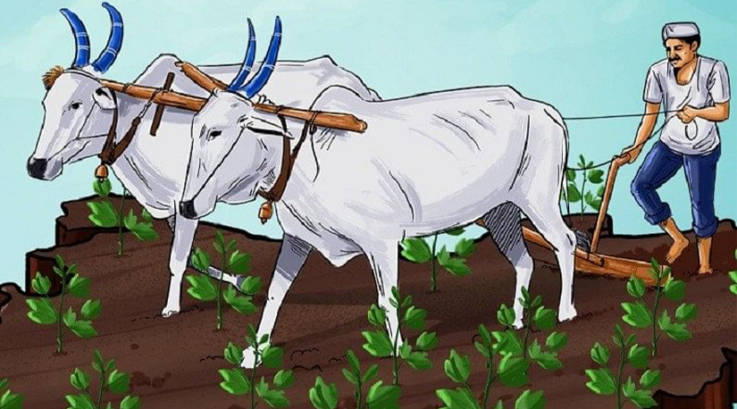 नेपाली कृषिको बर्तमान अवस्था