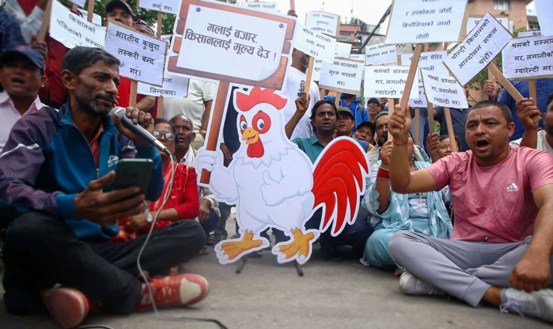 कुखुराको मूल्य निर्धारण गर्ने अधिकार माग्दै पोल्ट्री किसानहरू आन्दोलनमा