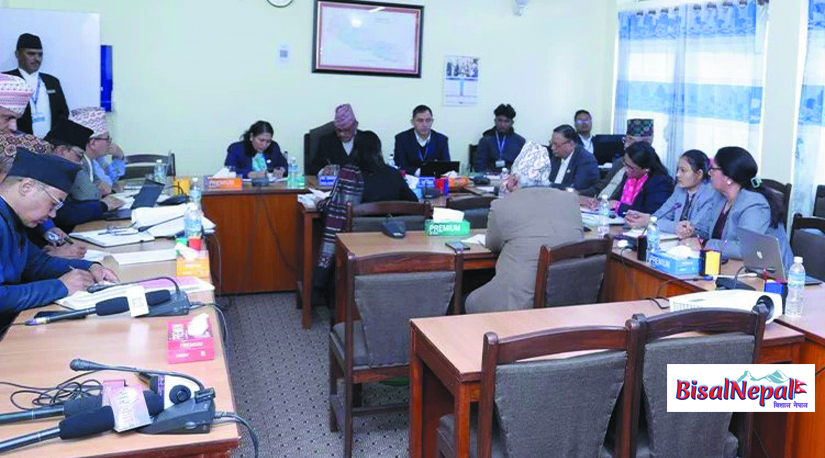 शिक्षा विधेयक छिटो टुङ्गो लगाउनु पर्नेमा सांसदहरूको जोड