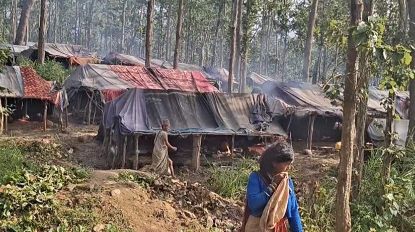 राउटे समुदायलाई नागरिकता वितरण गरिने