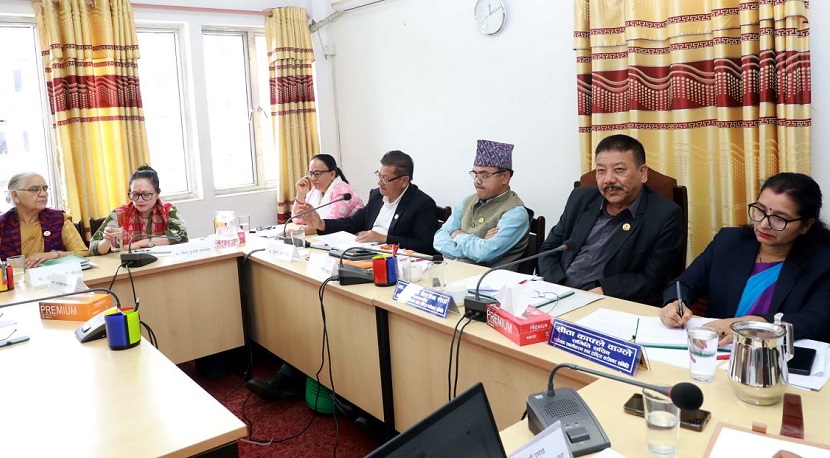 मनसुनअघि नै  जोखिमको आँकलन गरेर पूर्वतयारी थाल्न सरकारलाई निर्देशन