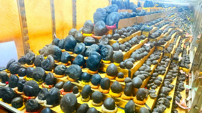 शालिग्राम सङ्ग्रहालयमा धार्मिक पर्यटकको आकर्षण बढ्दै