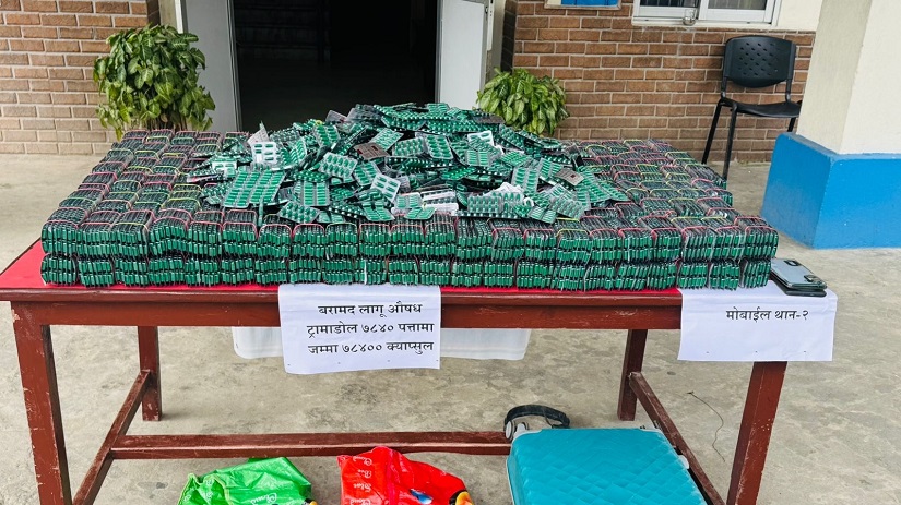 ठूलो परिमाणमा ट्रामाडोल क्याप्सुलसहित दुईजना पक्राउ