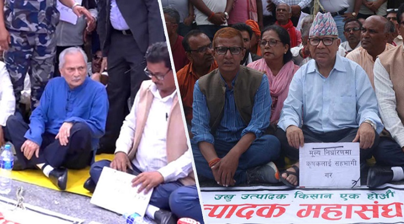 पूर्वप्रधानमन्त्री नेपाल र भट्टराई उखु किसानको आन्दोलनमा