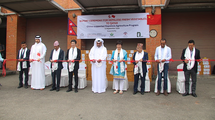 नेपालमा उत्पादन गरिएको तरकारी आजबाट कतार निर्यात गर्न सुरु