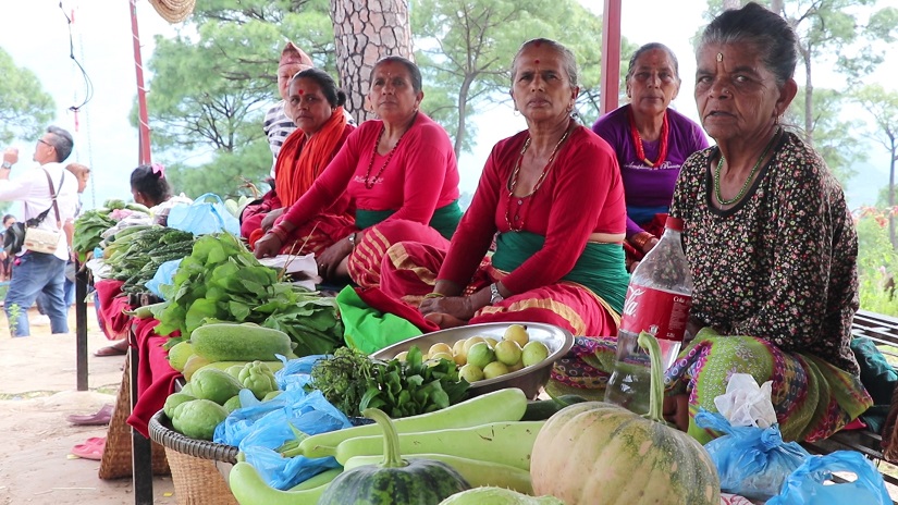 धादिङमा एउटै गाउँपालिकाले गर्‍यो २५ करोडको तरकारी बिक्री